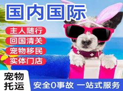 昆明航空运输国际宠物托运 【国